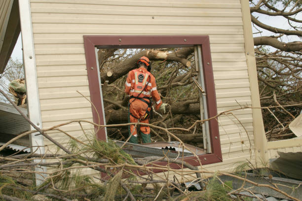 How Our Tree Care Process Works  in  Vienna, WV
